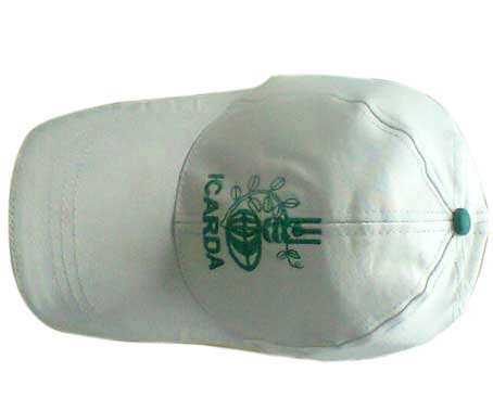 Six Panel Cotton Cap Manufacturer In Shalimar Bagh – Durable Fabric Finish