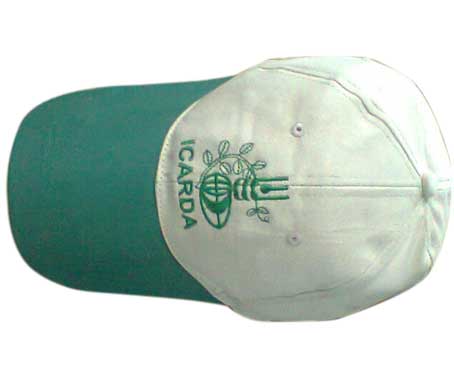 Lightweight Six Panel Summer Cap Supplier In Shalimar Bagh – Breathable Comfort Line